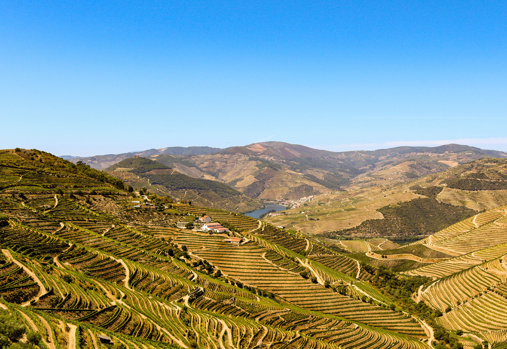 Flavors of Portugal & Spain featuring the Douro and Rioja Wine Regions