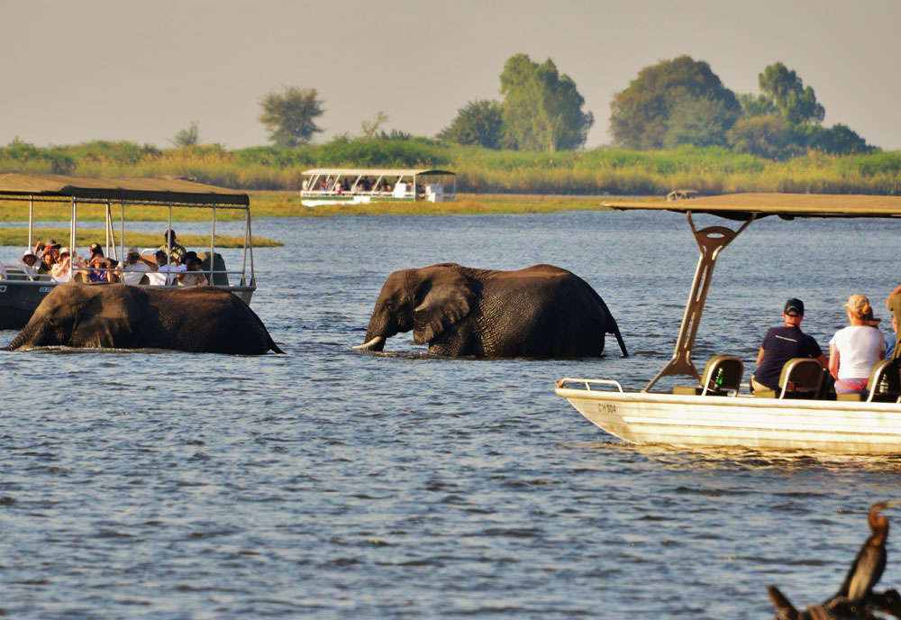 Wilderness of Southern Africa: Safari by Land & Water