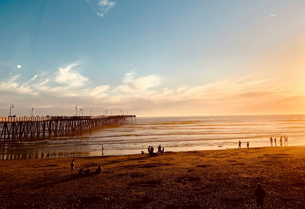 Coastal California & Sequoia National Park featuring San Diego, Los Angeles & Pismo Beach