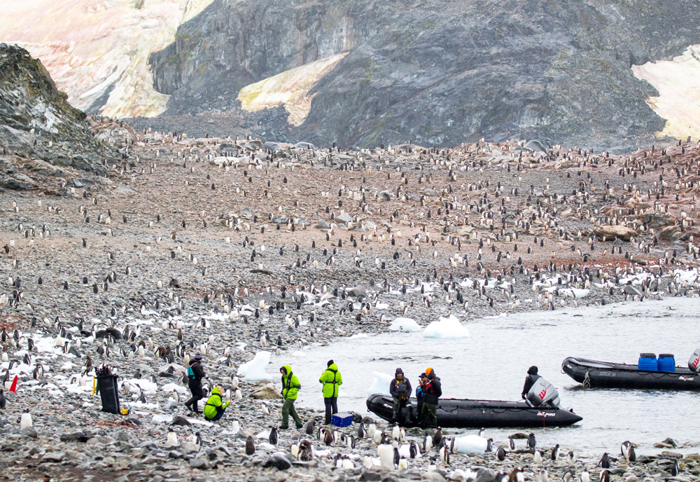Antarctica: The White Continent