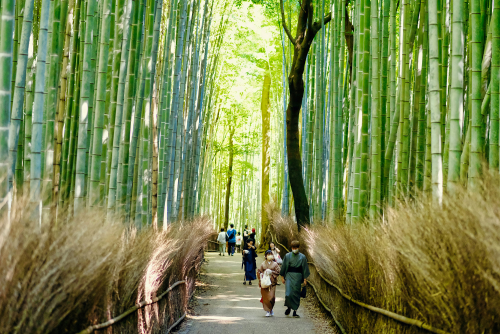 Japan & South Korea: From Tokyo to Seoul